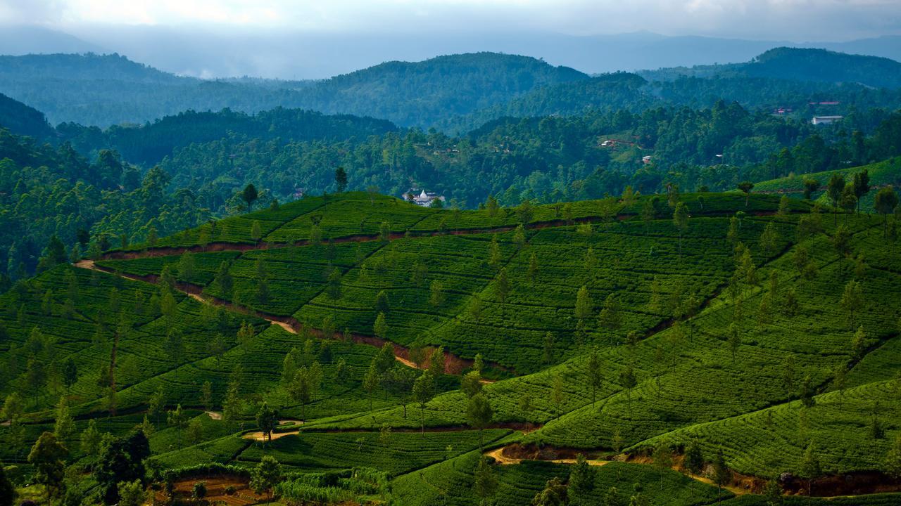 Lakshan View Resort Haputale Bagian luar foto